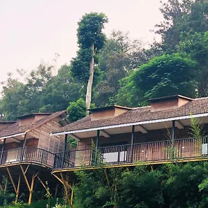 Dream Coconut Resort Munnar